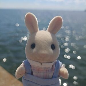 Meet your Posher, Vana